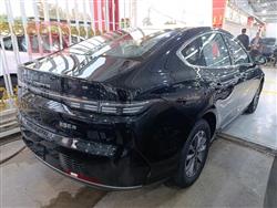 بي واي دي ديستروير 05